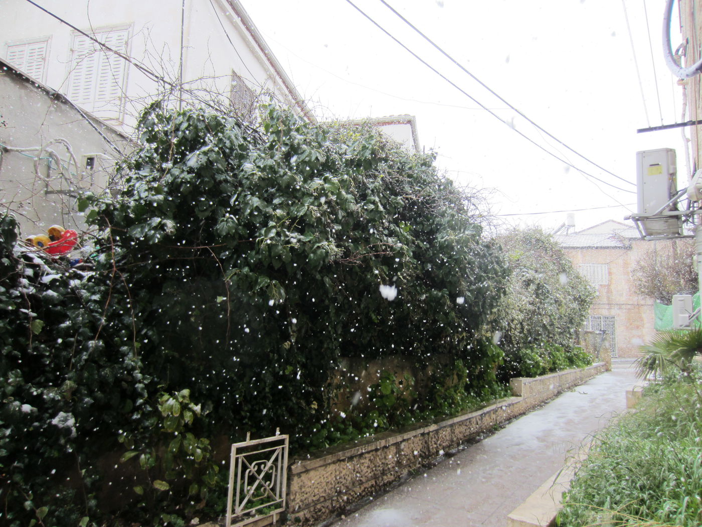 ירושלים מכוסה שלג, הלימודים בעיר הושבתו ● גלריה לבנה