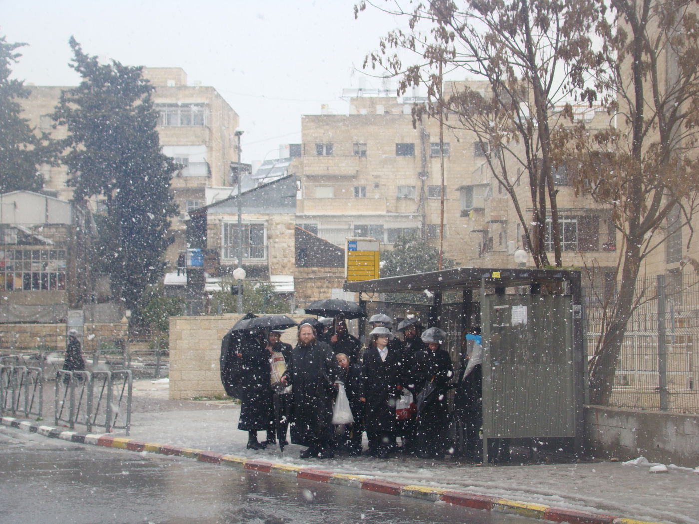 ירושלים מכוסה שלג, הלימודים בעיר הושבתו ● גלריה לבנה