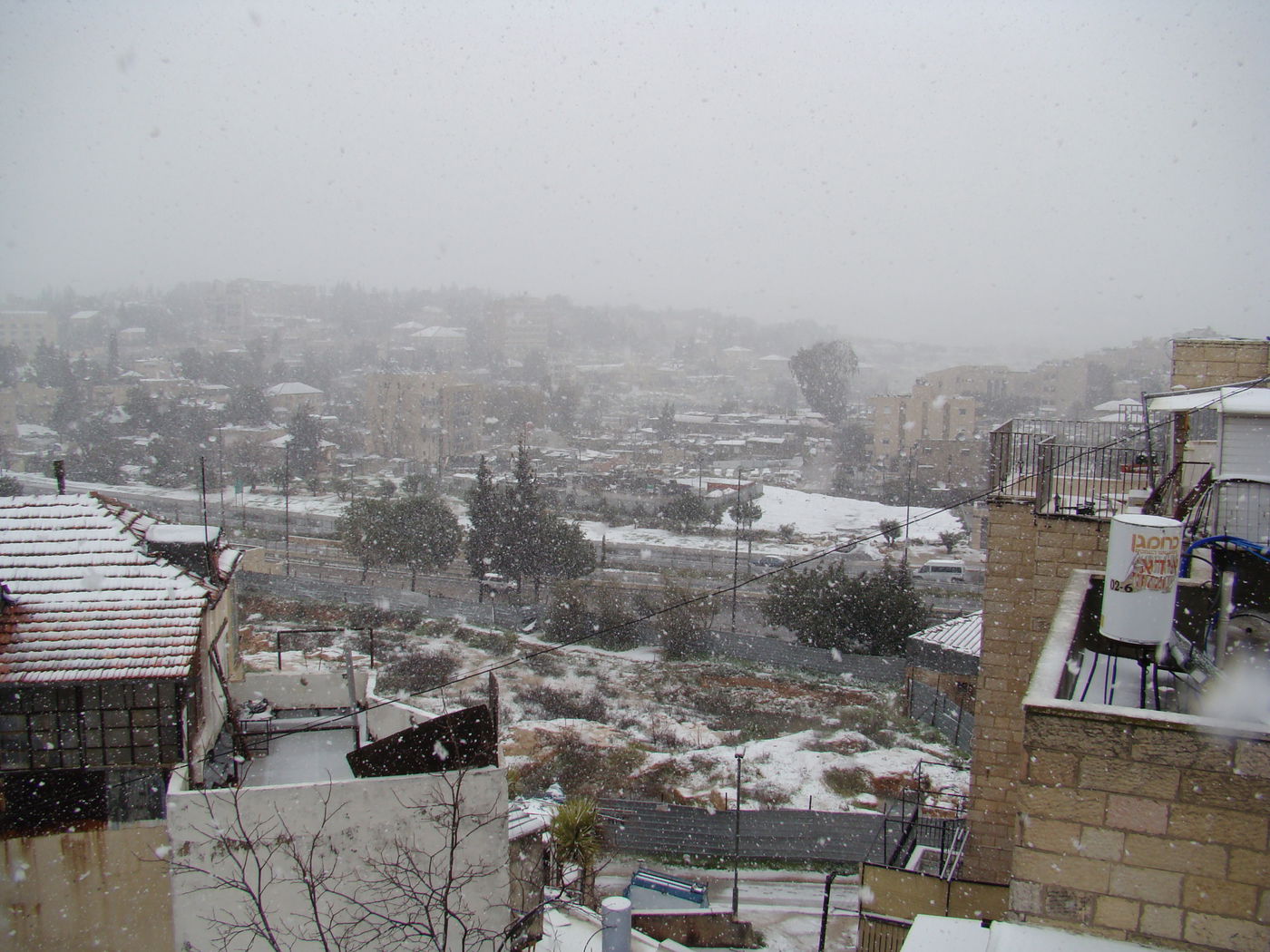 ירושלים מכוסה שלג, הלימודים בעיר הושבתו ● גלריה לבנה