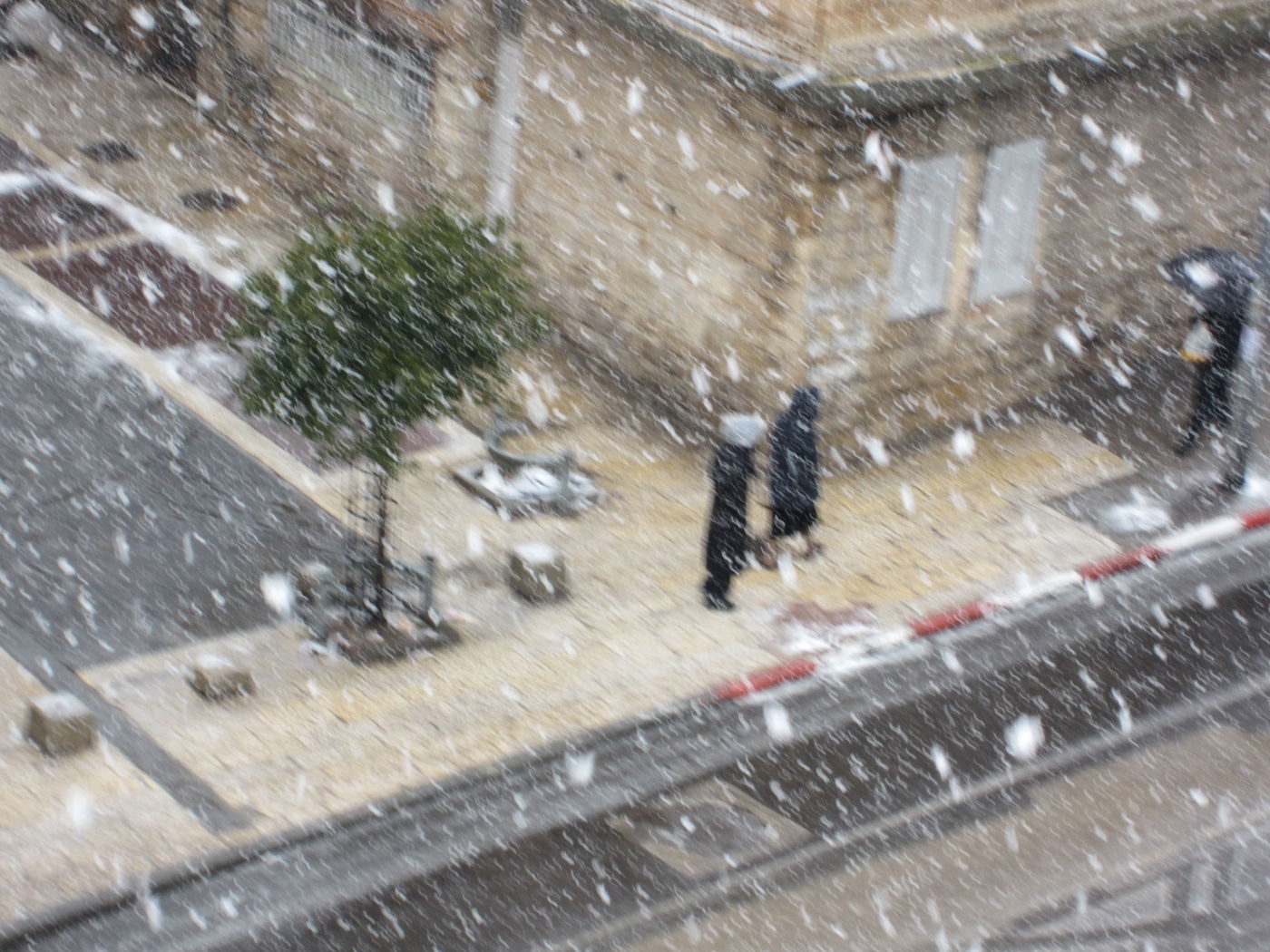 ירושלים מכוסה שלג, הלימודים בעיר הושבתו ● גלריה לבנה