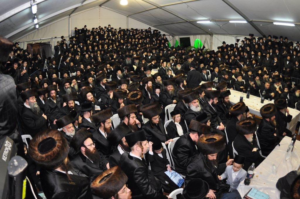 גלריית ענק: שמחת בית בעלזא-מכנובקא