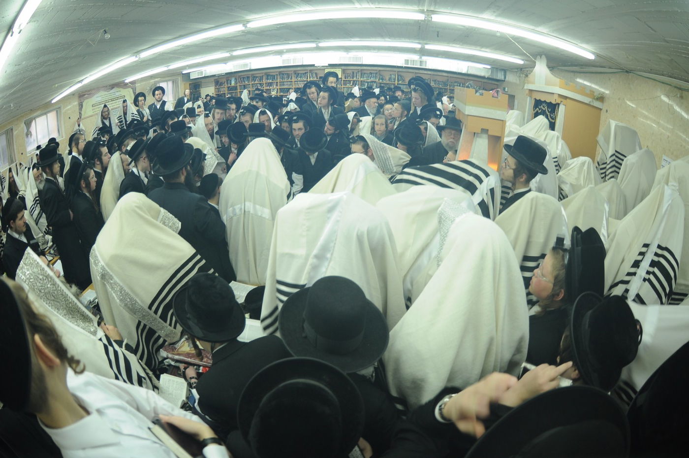 האדמו"ר מסקווירא בישראל: גלריית ענק