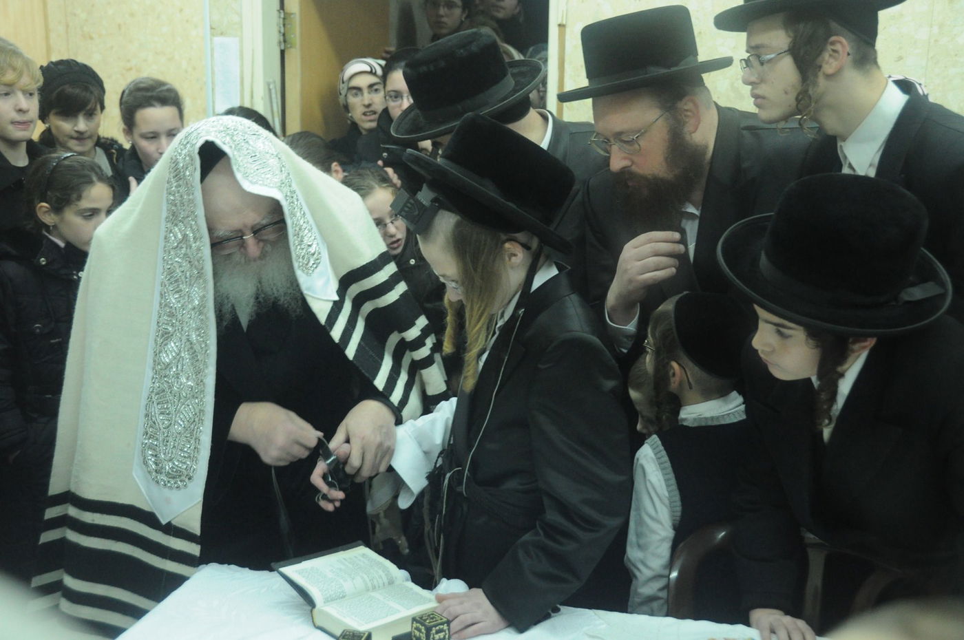 האדמו"ר מסקווירא בישראל: גלריית ענק