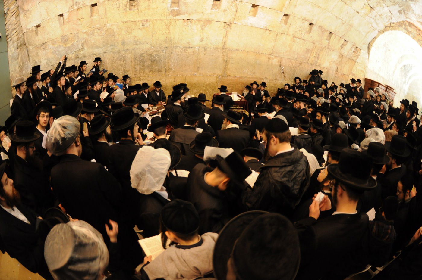 האדמו"ר מסקווירא בישראל: גלריית ענק