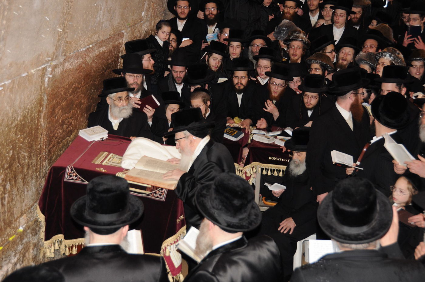 האדמו"ר מסקווירא בישראל: גלריית ענק