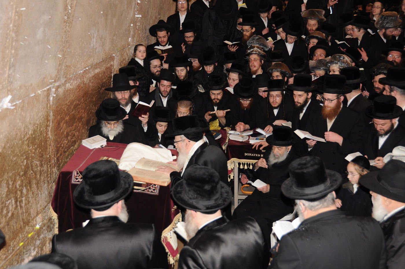 האדמו"ר מסקווירא בישראל: גלריית ענק