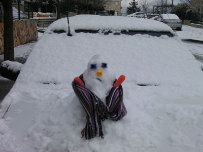 שלג בבית-אל (צילום: אברהם עובדיה)