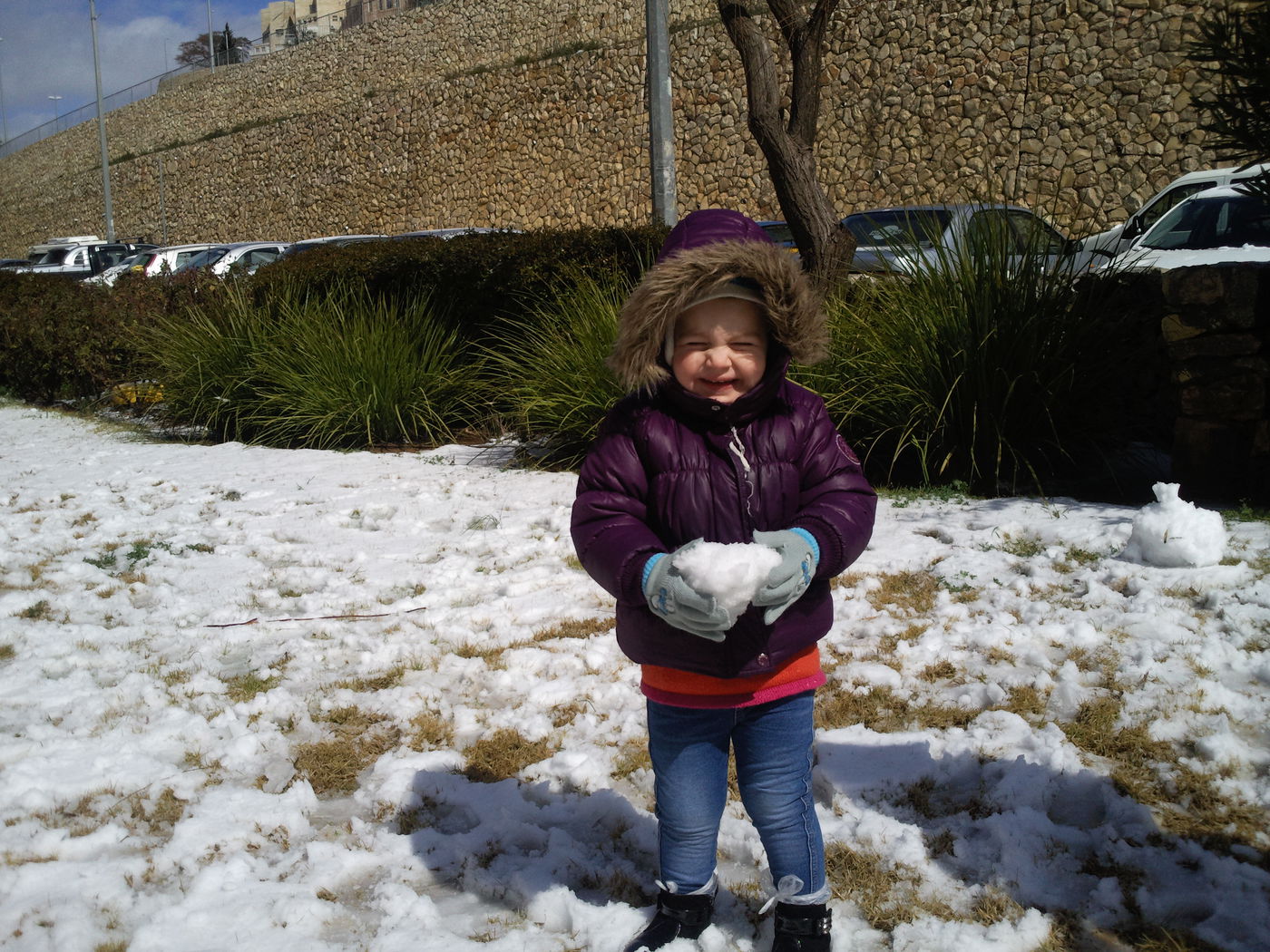 שלג ברמות (צילום: שרית אושינסקי)