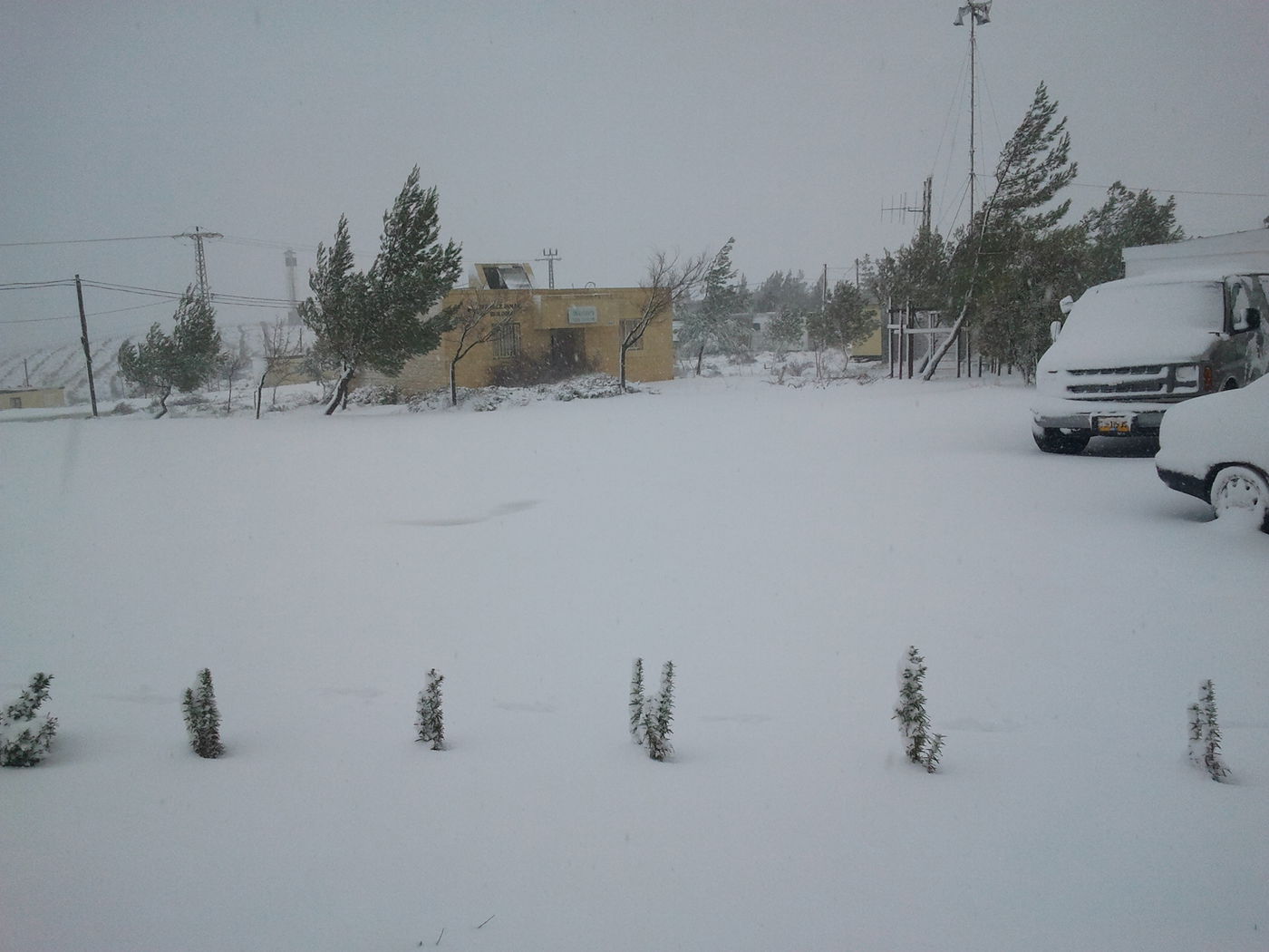 שלג במיצד (צילום: אלי רוזנברג)