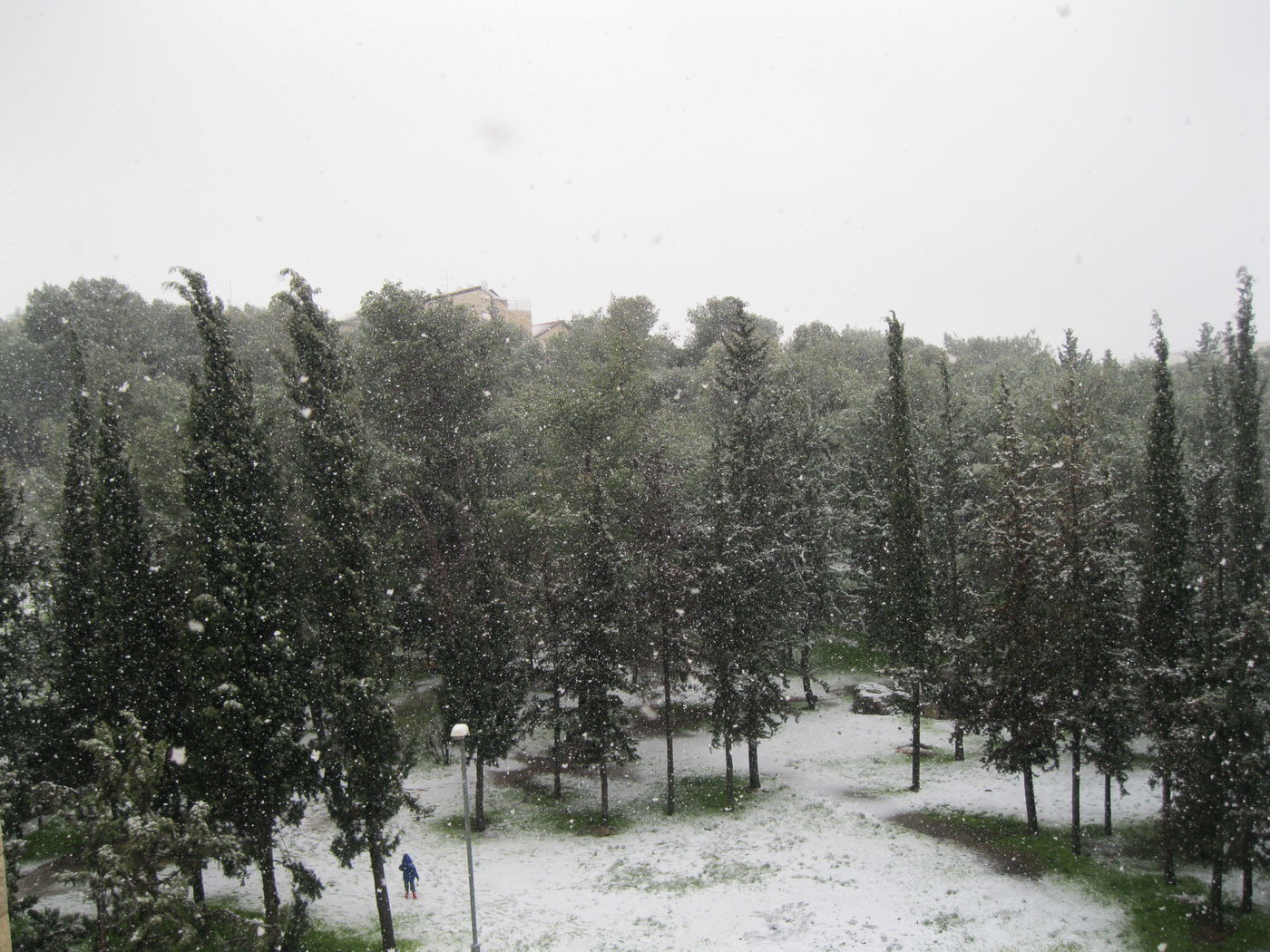 סוף שבוע מושלג: התמונות שלכם