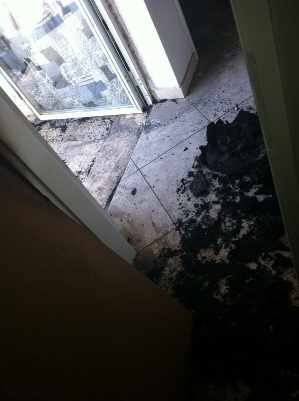 תמונת הרב עובדיה שרדה את השריפה: "כולנו התרגשנו"