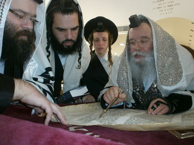 צפו: פורים בחסידות מישקולץ