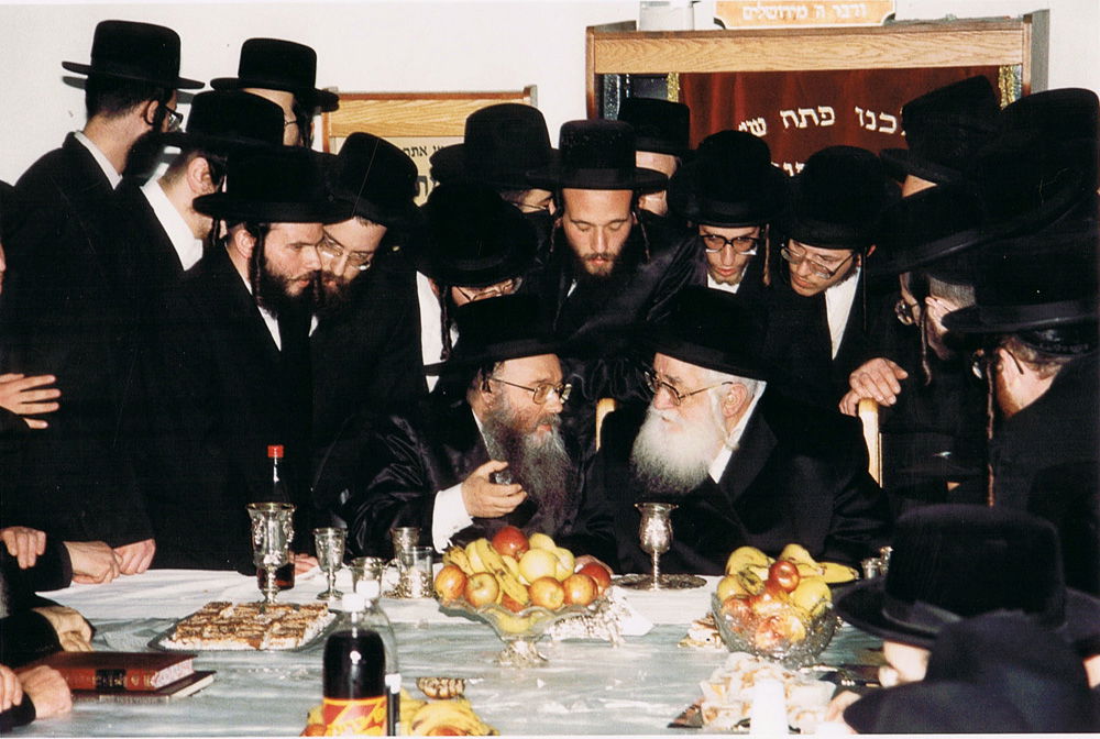 כשהרבי מויז'ניץ פגש את הרבי ממישקולץ