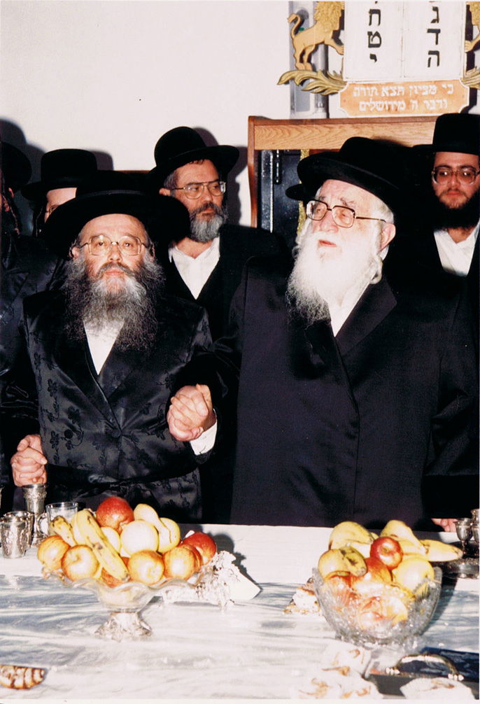 כשהרבי מויז'ניץ פגש את הרבי ממישקולץ