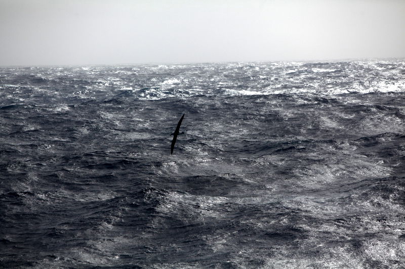 תיירות שישי: מעבר דרייק - המעבר הימי הסוער בעולם