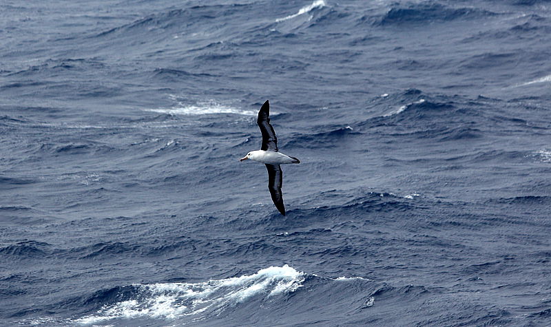 תיירות שישי: מעבר דרייק - המעבר הימי הסוער בעולם