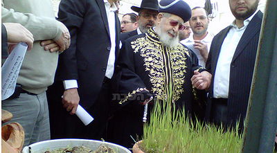 זריזין מקדימין: מרן רבי עובדיה יוסף קיים את ברכת האילנות