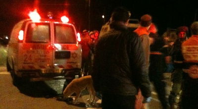 מחבל דקר חייל ומטופל בשערי צדק