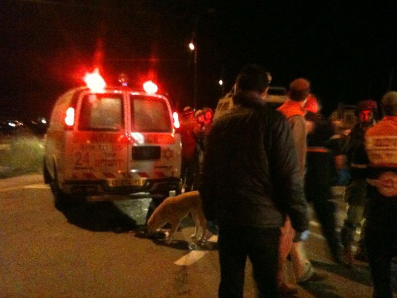 מחבל דקר חייל ומטופל בשערי צדק