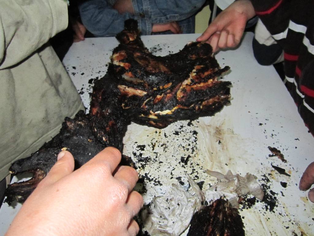 שלב אחר שלב: כך מקריבים קורבן פסח