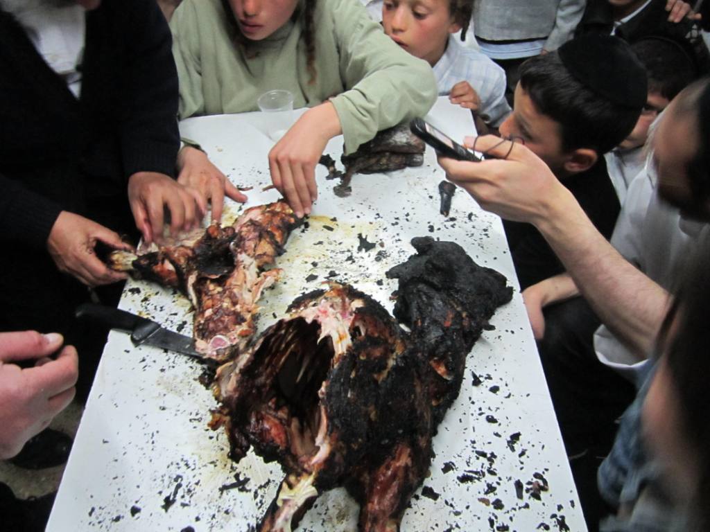 שלב אחר שלב: כך מקריבים קורבן פסח