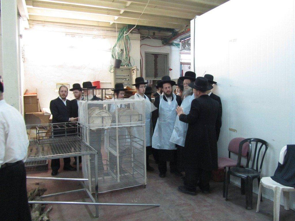 בחרדת קודש: גדולי ישראל אופים מצות ● תיעוד חגיגי