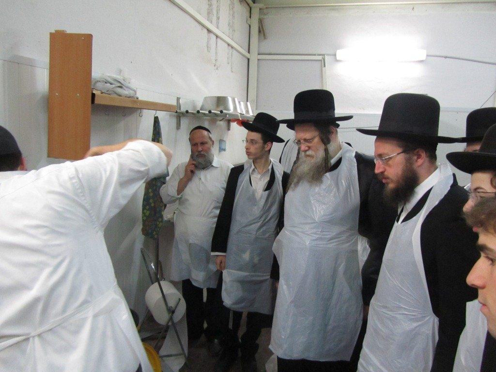 בחרדת קודש: גדולי ישראל אופים מצות ● תיעוד חגיגי