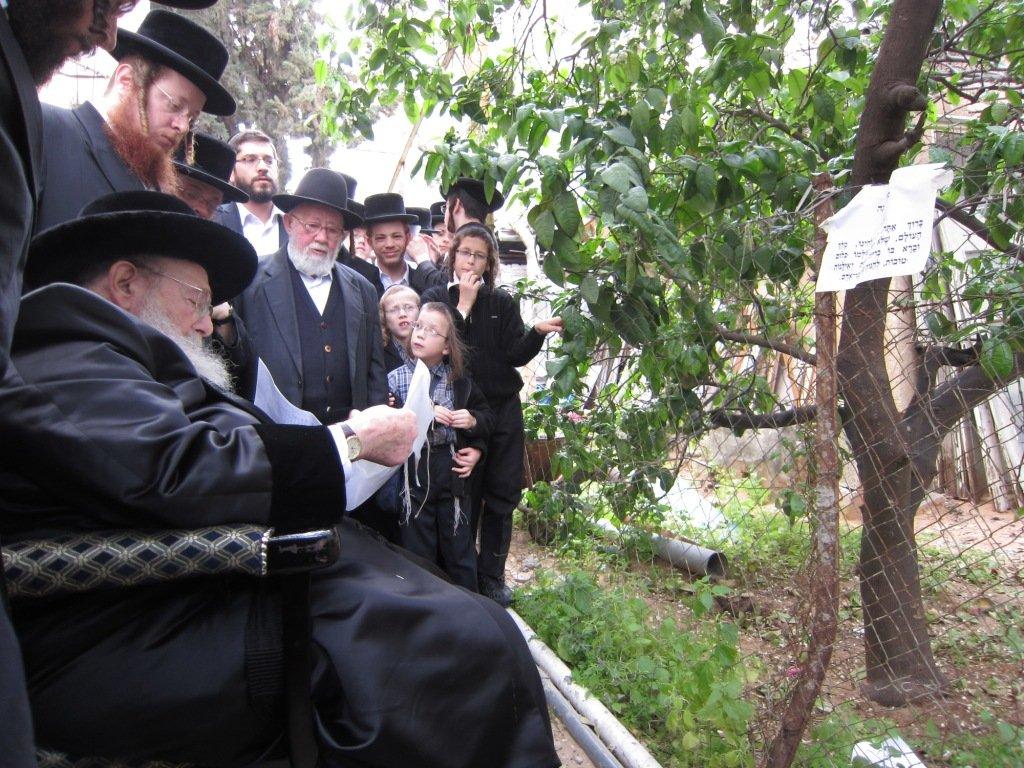 בחרדת קודש: גדולי ישראל אופים מצות ● תיעוד חגיגי