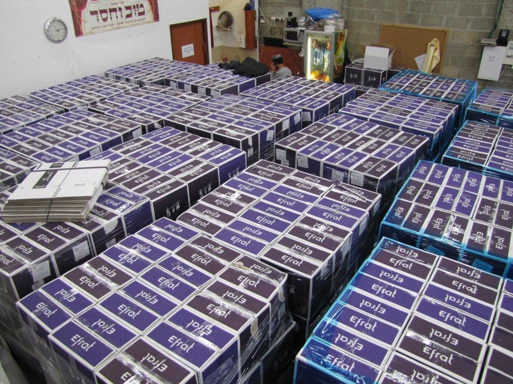 ללא תלושים, ללא בזיונות, ללא השפלות: קמחא דפסחא טהור