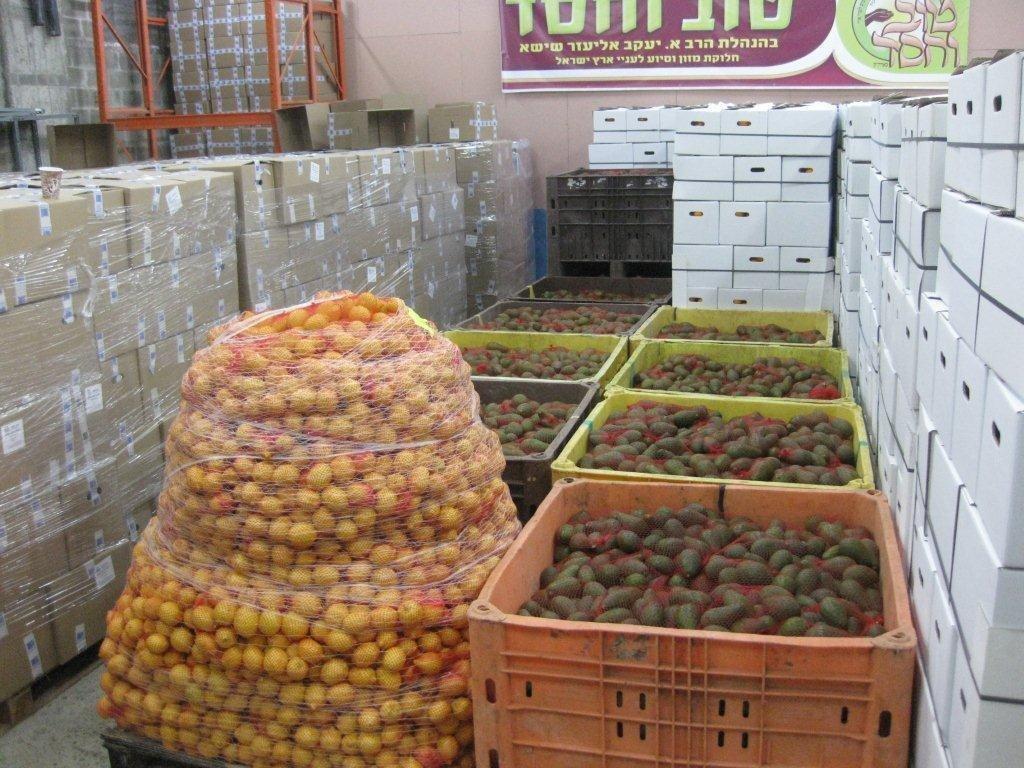 ללא תלושים, ללא בזיונות, ללא השפלות: קמחא דפסחא טהור