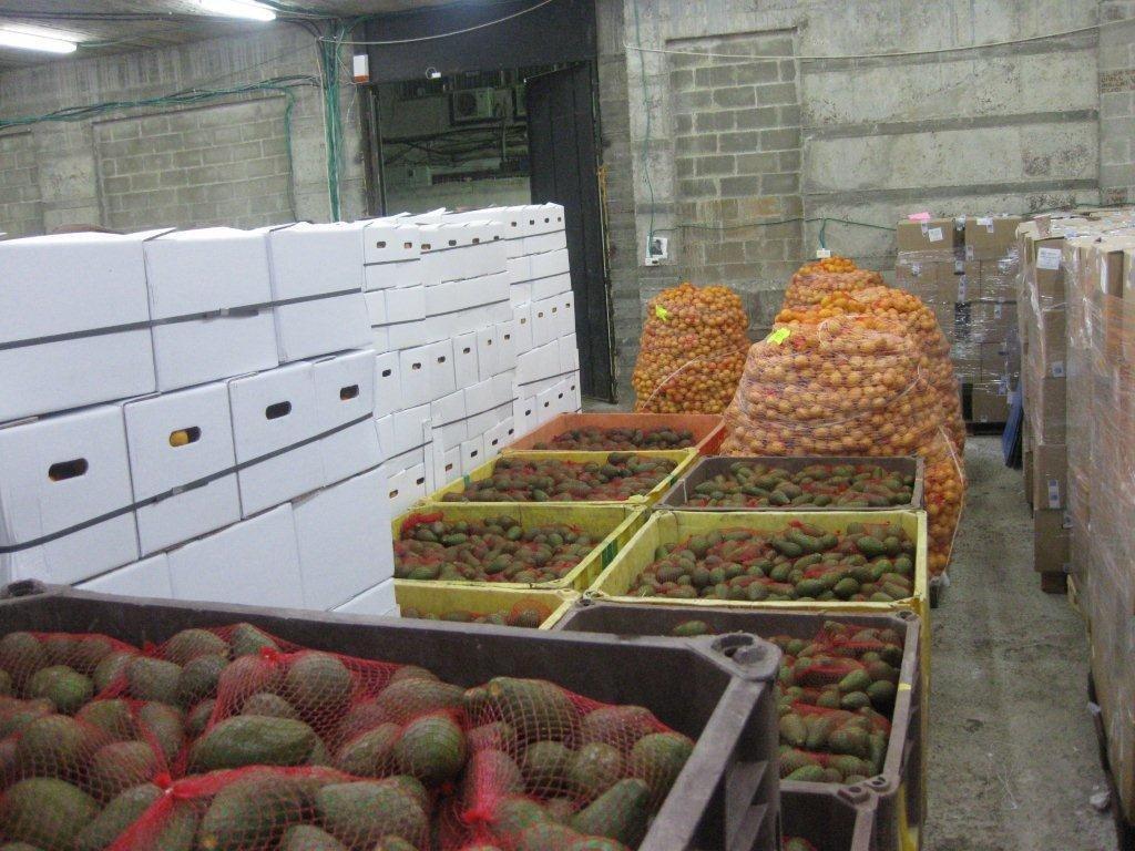 ללא תלושים, ללא בזיונות, ללא השפלות: קמחא דפסחא טהור