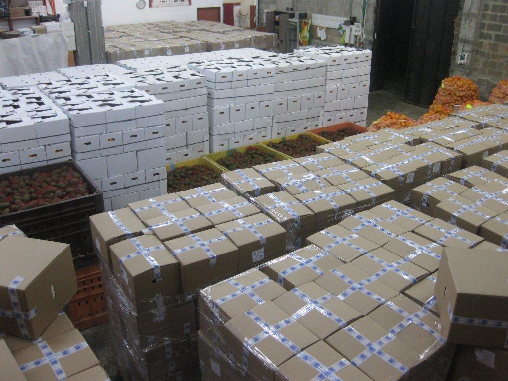 ללא תלושים, ללא בזיונות, ללא השפלות: קמחא דפסחא טהור