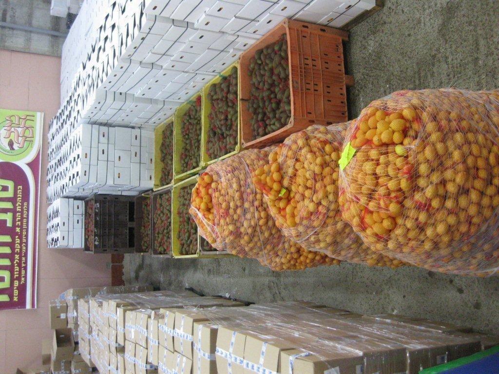 ללא תלושים, ללא בזיונות, ללא השפלות: קמחא דפסחא טהור