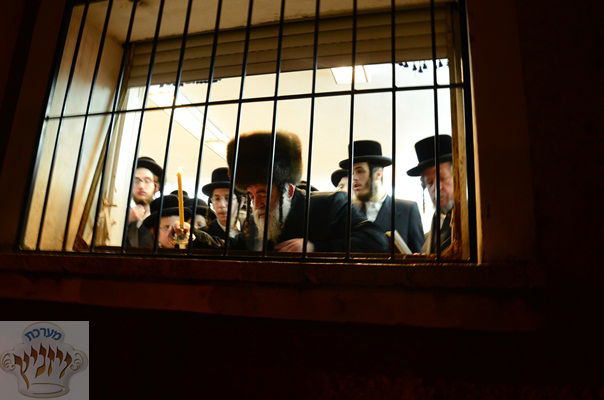 התרגשות בויז'יניץ: לראשונה חבש האדמו"ר את ה"קולפיק"