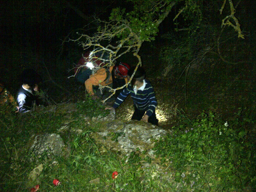 משפחה חרדית נעלמה ביער וחולצה בנס