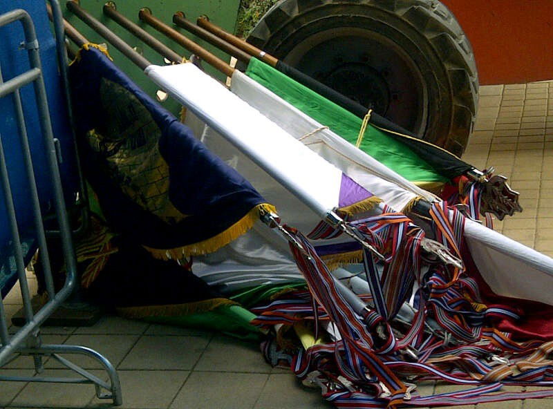 עדויות מהר הרצל: העמודים  נפלו מהרוח