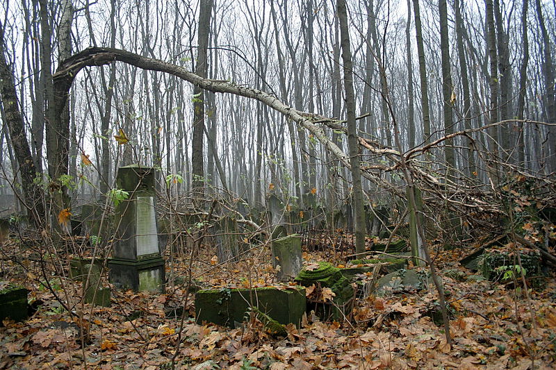 אוד מוצל מאש: מסע מרגש בין שרידי גטו ורשה > תיעוד מיוחד