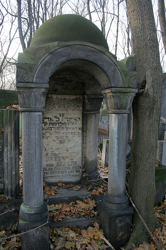 אוד מוצל מאש: מסע מרגש בין שרידי גטו ורשה > תיעוד מיוחד