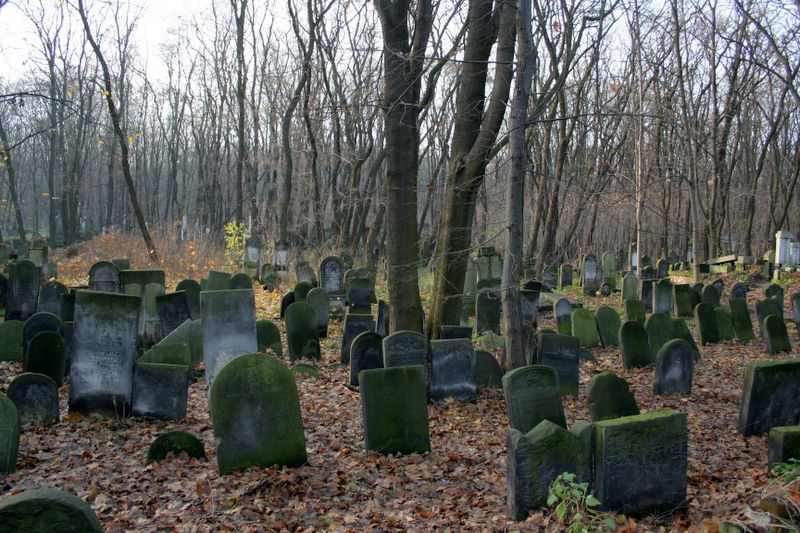 אוד מוצל מאש: מסע מרגש בין שרידי גטו ורשה > תיעוד מיוחד