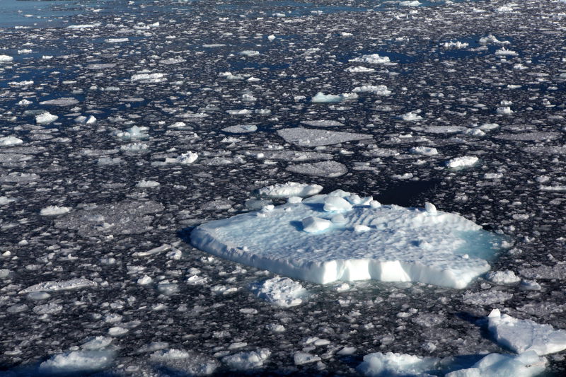 אלפסי בעולם: המסע המופלא לאנטרטיקה, הפרק המלא