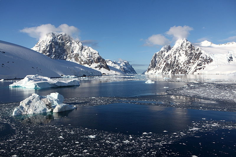 אלפסי בעולם: המסע המופלא לאנטרטיקה, הפרק המלא