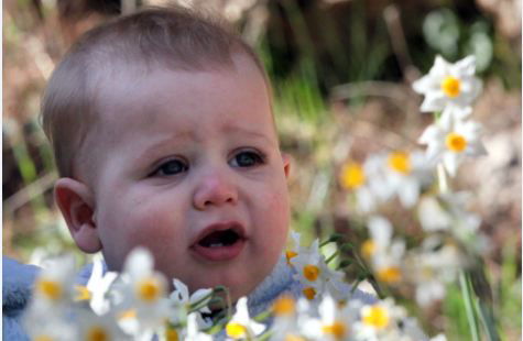 אילוסטרציה