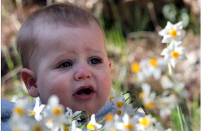 אילוסטרציה