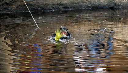 אילוסטרציה