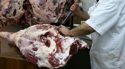 שערוריית הטריפות בבית נשיא המדינה: תעודת כשרות נשללה מחברת "פרי הארץ"