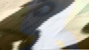 אילוסטרציה