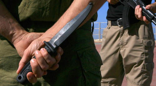 אלימות מזעזעת: 2 בני-אדם נרצחו בדקירות סכין