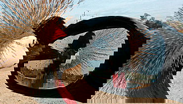 מסתכלים במראה ומתעבים את עצמכם? כך תשנו זאת