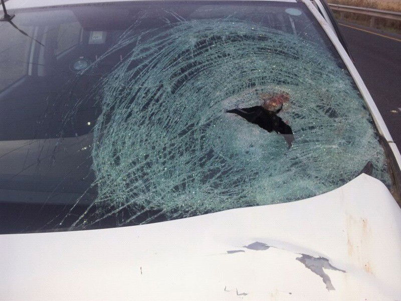 סמוך לטבריה: הולך רגל נהרג מפגיעת רכב חולף