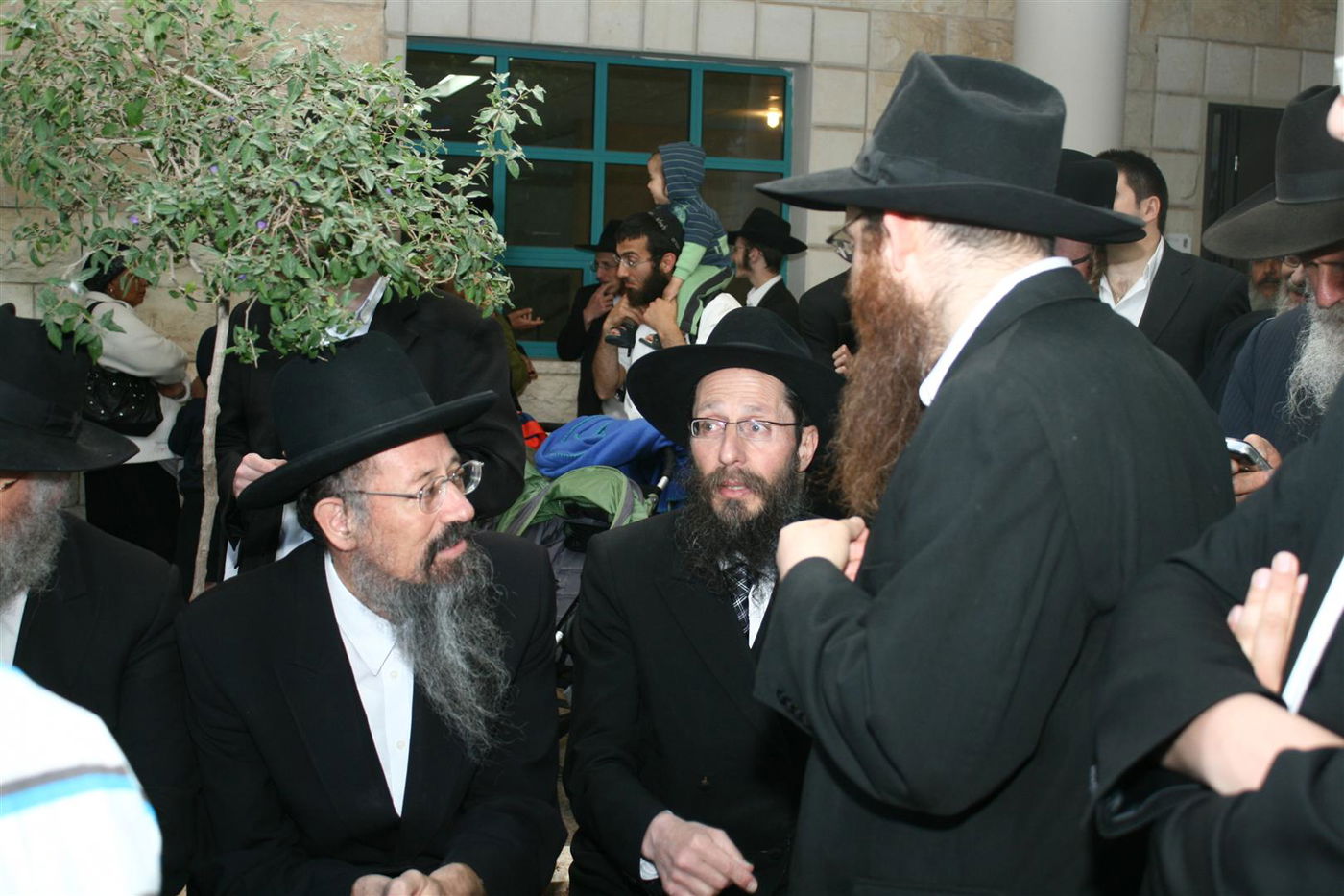 צפו בגלריה: צפת חגגה עם ספרי-התורה האבודים